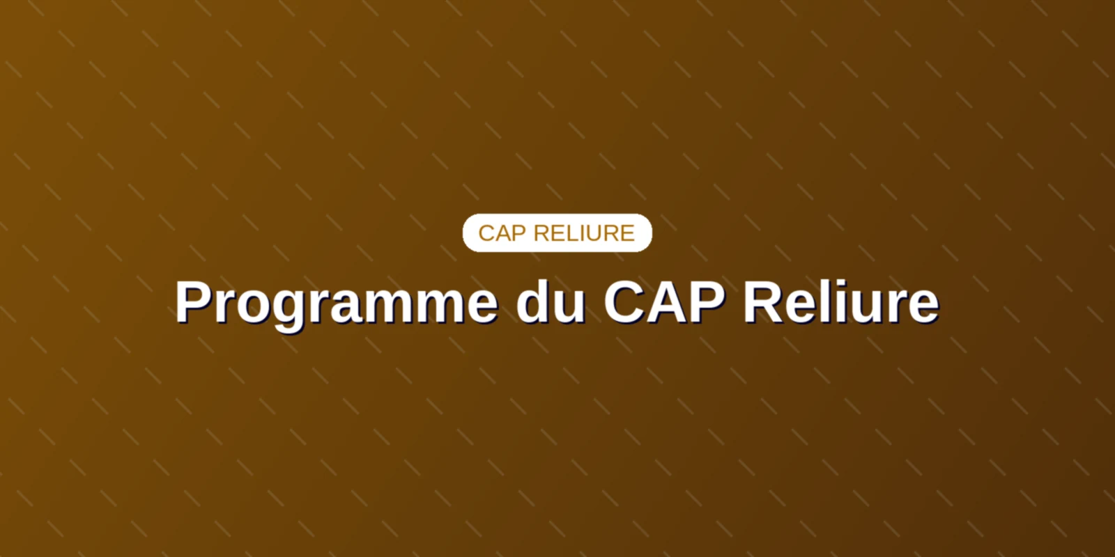 Couverture : Programme de formation, référentiel officiel et épreuves du CAP Arts de la reliure